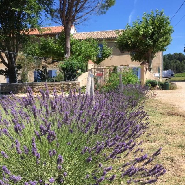 Mas De Costebelle Bed & Breakfast Bollene Exterior photo